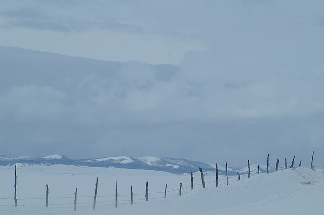 Fence Row