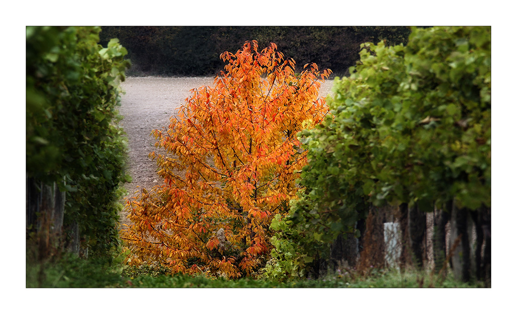 Herbst_Bekleidung