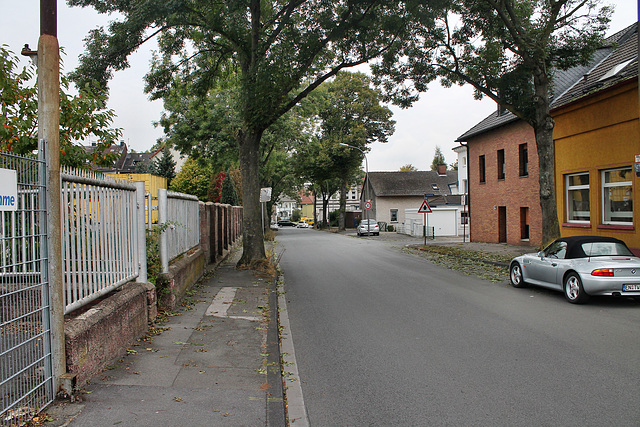 In der Provitze (Bochum-Hofstede) / 17.10.2016