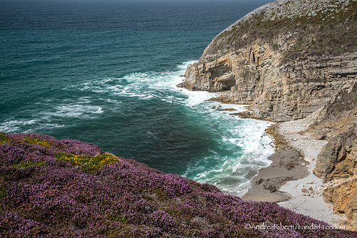 Cap de la Chèvre - Presqu'île de Crozon