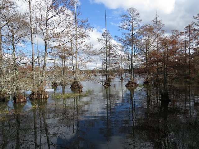 Bluff Lake