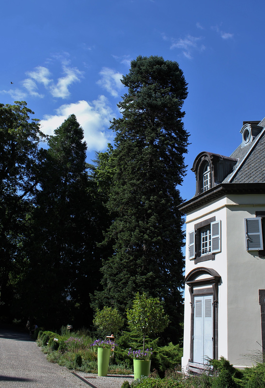 Château de Bellevue de JB Bargoin (3)
