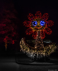 pls. view on black background → Christmas Garden @ Insel Mainau (Konstanz-Bodensee) (© Buelipix)