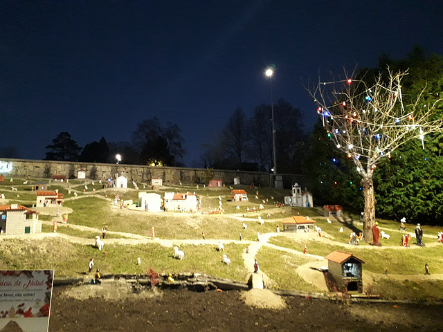 Christmas crib (3).