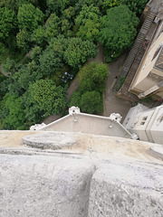 IMG 3849