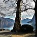 Lugano TI 3.02.23 / Rechts der San Salvatore