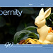 ipernity homepage with #1135