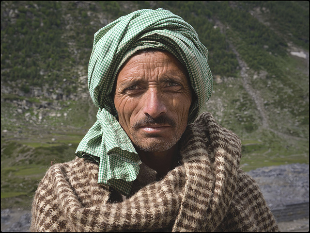 Berger himalayen Berger himalayen