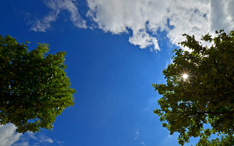 Himmel PIP