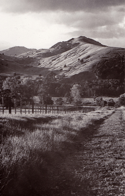 On The Road To Dargaville No.1