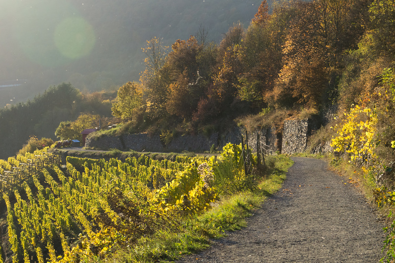 Altenahr - Rotweinwanderweg