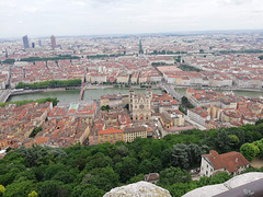 IMG 3850
