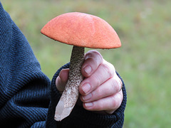 Karel with Bolete for his dinner