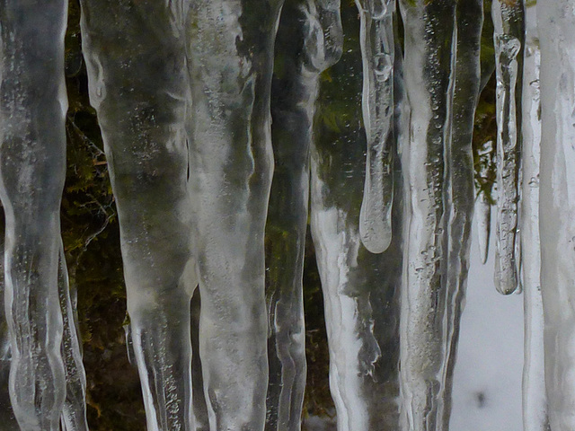 20150131 Raquettes Vercors La Goulandiere (106) al