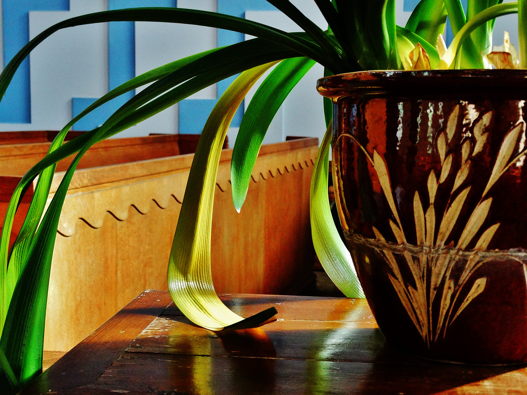 For decorative purposes only!