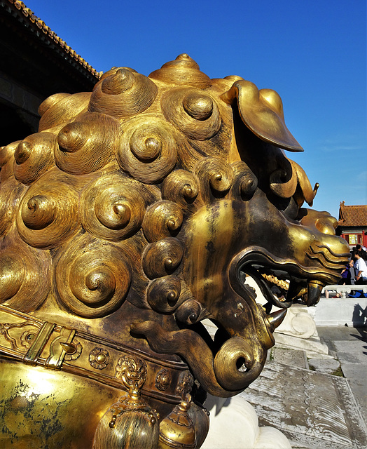 Forbidden City_46