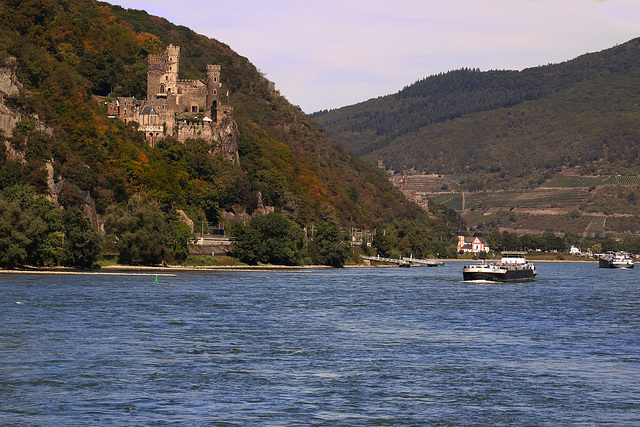 Assmannshausen - Blick über den Rhein zum Schloss "Burg Rheinstein"