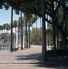 Marina Walkway