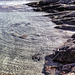 Varangerfjorden