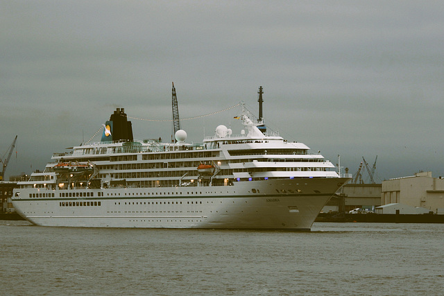 AMADEA......