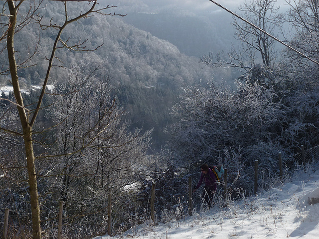 20150101 -03 Raquettes Vercors (10) al