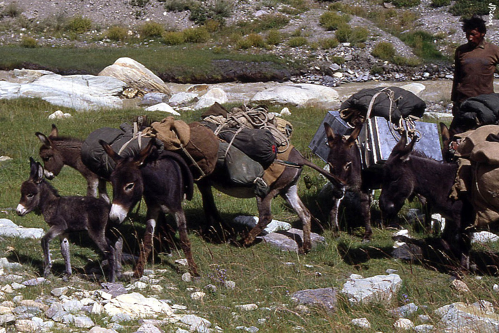 Zanskhar