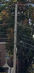 NG 7.9/13.8kV Y pole
