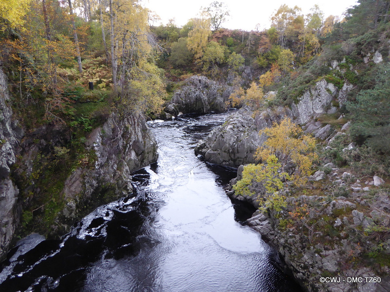 Looking upstream from Dulsie