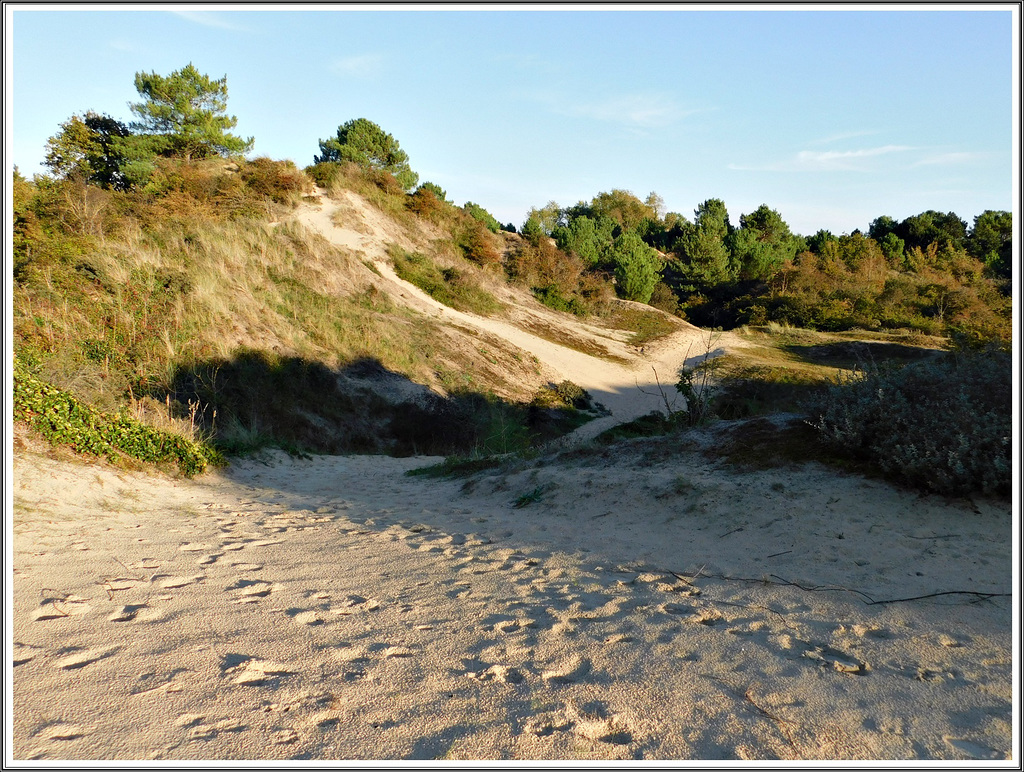 Dunes derrière le village vacances Stella Maris