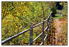 Happy Herbst Fence