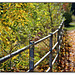 Happy Herbst Fence