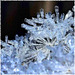 ...enchanted ice crystals...