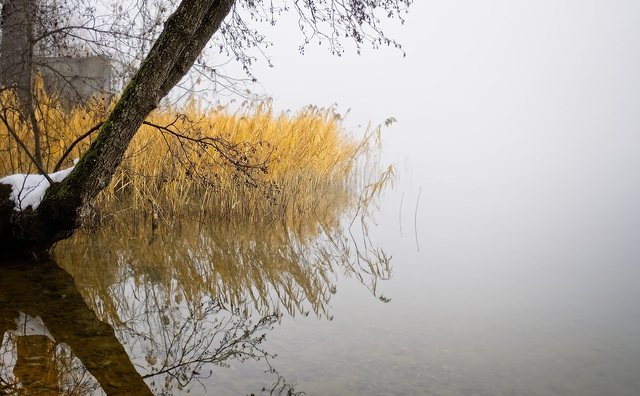 ........es ist immer toll,wenn man diese schöne Ruhe spüren kann....................it's always great when you can feel this beautiful calmness............ ........c'est toujours super quand on peut r