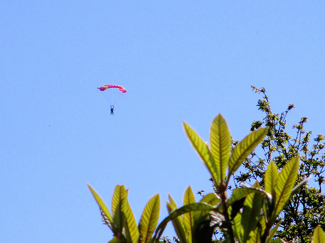 un dimanche au grand air,