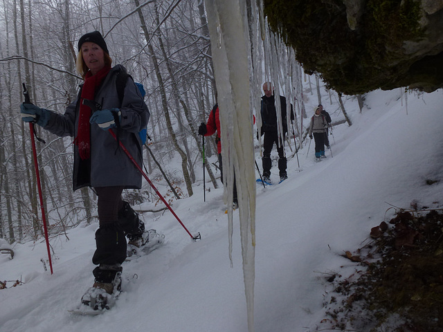 20150131 Raquettes Vercors La Goulandiere (111) al