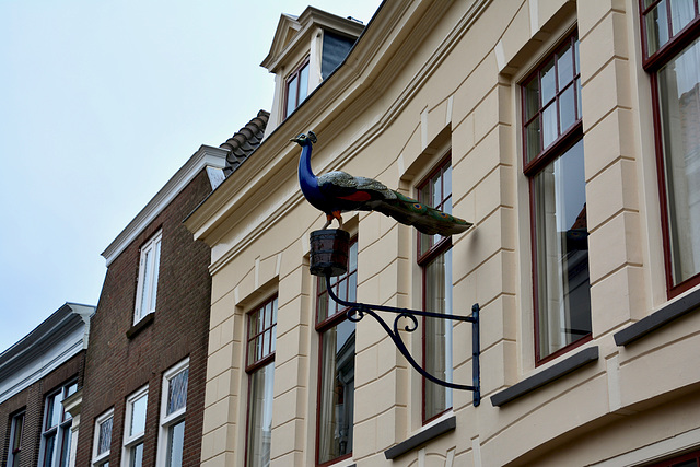 Zwolle 2017 – Peacock