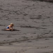 DSC05898