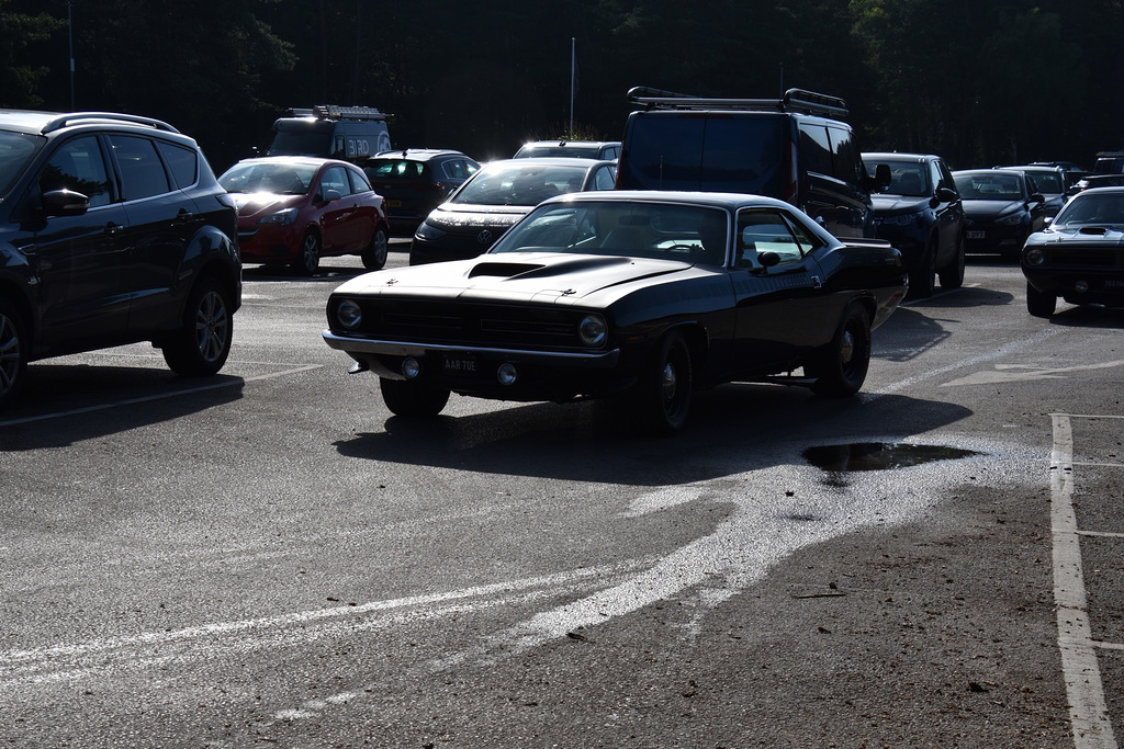 bbmprjul142024 (1029)