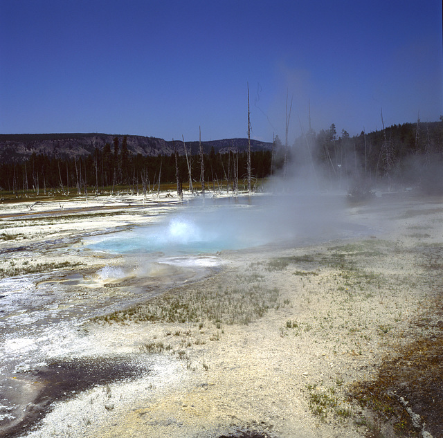 Lower Geyser Basin, Yellowstone