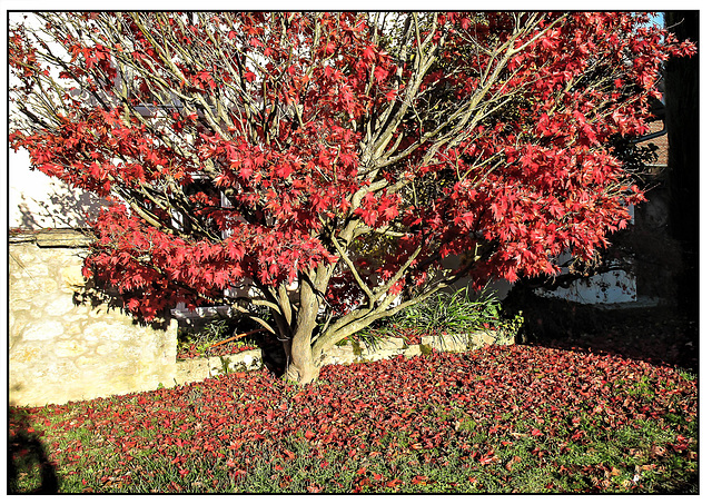 Markgräflerland Herbst 23