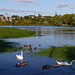 ANGERS BLUE PLANET/PLANETE BLEUE