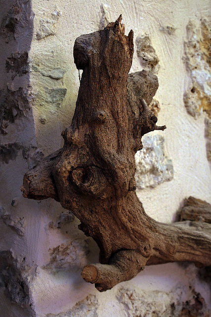 Insolite , un troll qui a la gueule de bois