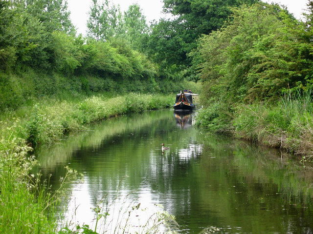Staffordshire and Worcestershire Canal at Dimmingsdale