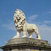 Coade stone lion, Westminster bridge, London