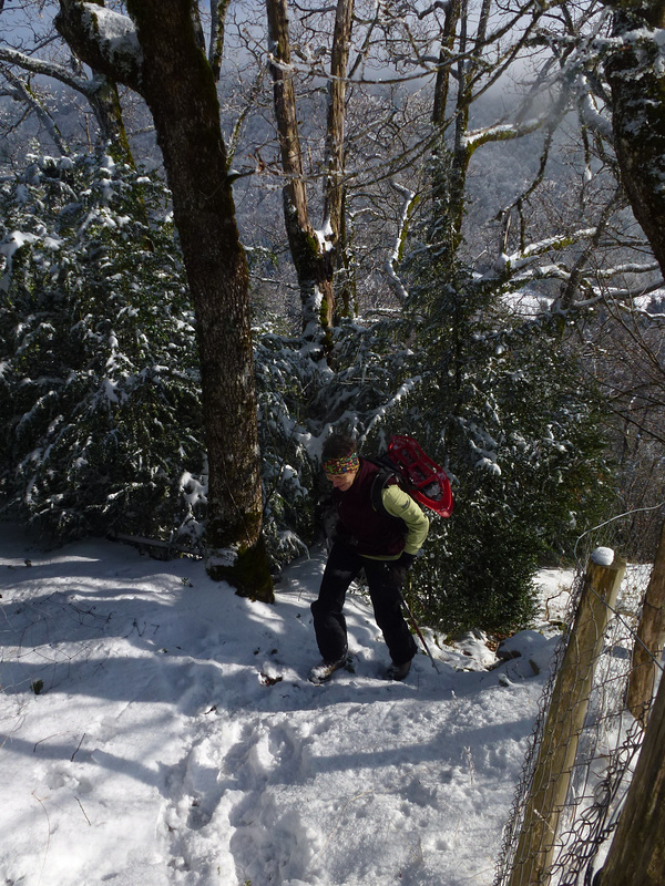 20150101 -03 Raquettes Vercors (12) al