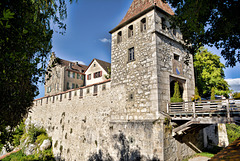 Schloss Laufen Rheinfall Schweiz