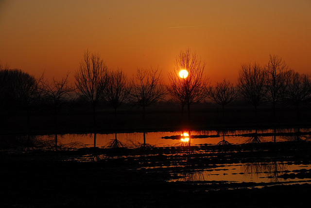 Sonnenuntergang über nassen Feldern