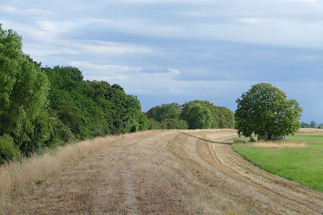 Abendspaziergang mit Sonne und Wolken