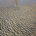 20140907 4868VRAw [NL] Watt, Terschelling