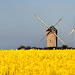 Le moulin et l'éolienne